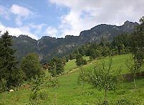 Gasthof Woell Alpbach Εξωτερικό φωτογραφία