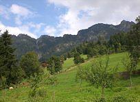 Gasthof Woell Alpbach Εξωτερικό φωτογραφία